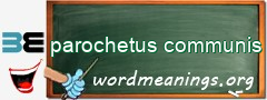 WordMeaning blackboard for parochetus communis